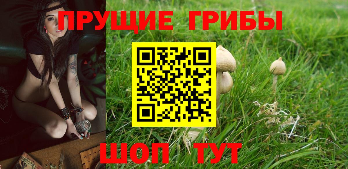 Галлюциногенные грибы прущие грибы Новошахтинск